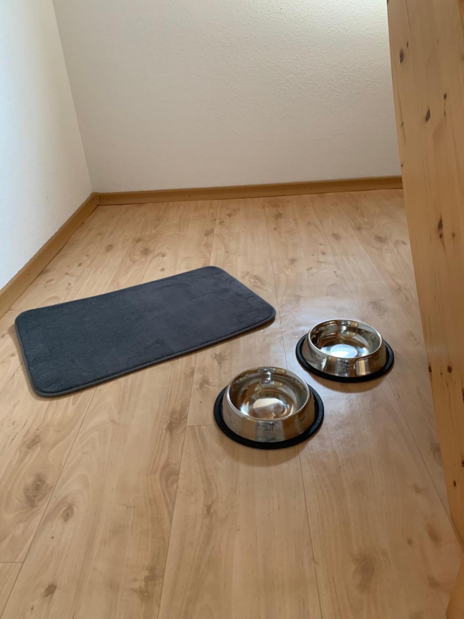 Apartmán Bayerwaldnest Spiegelau Exteriér fotografie