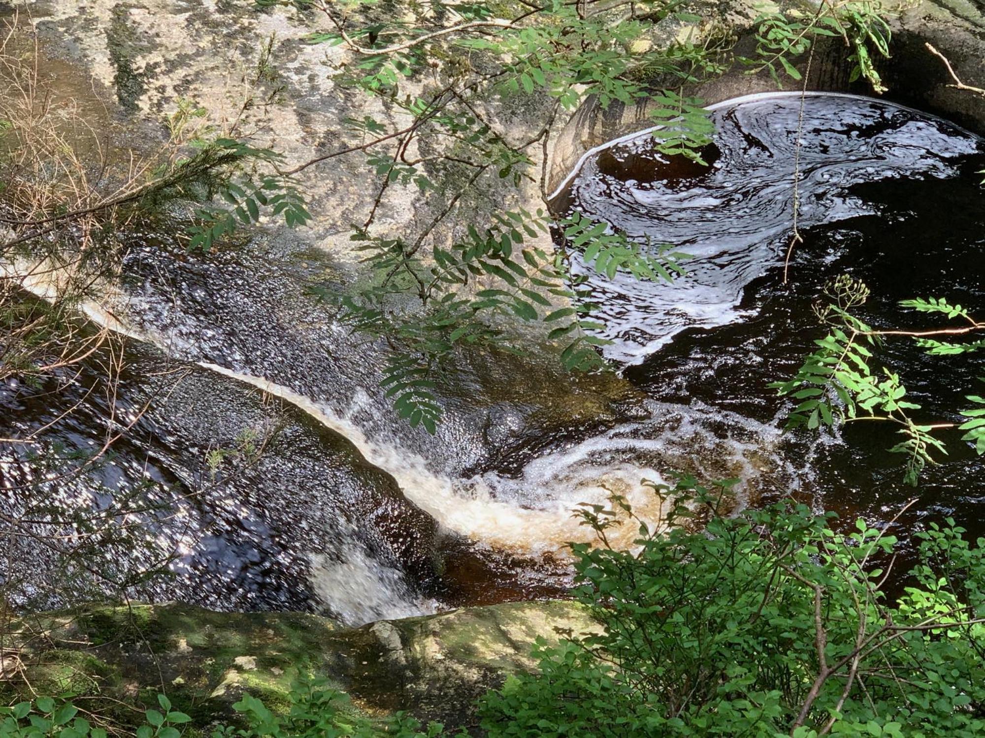 Apartmán Bayerwaldnest Spiegelau Exteriér fotografie