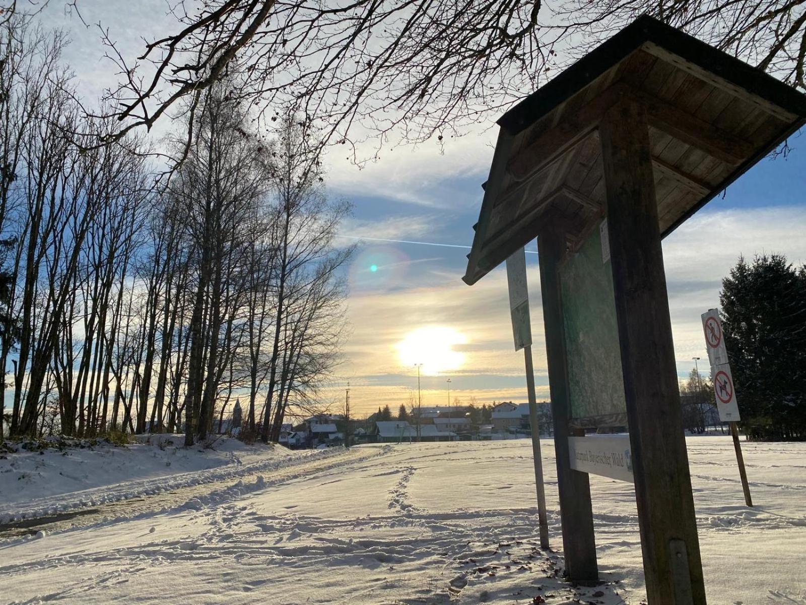 Apartmán Bayerwaldnest Spiegelau Exteriér fotografie